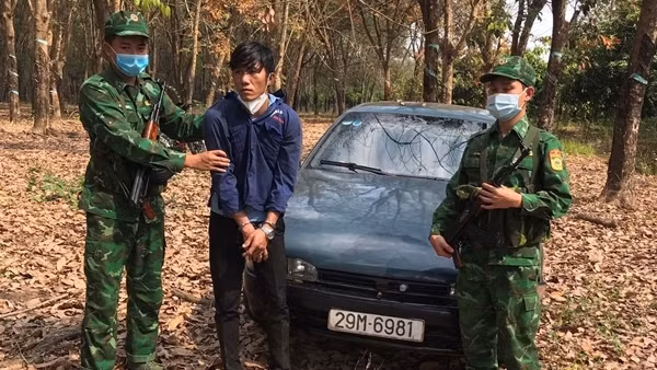 Giả công nhân khai thác mủ cao su để vận chuyển ma túy