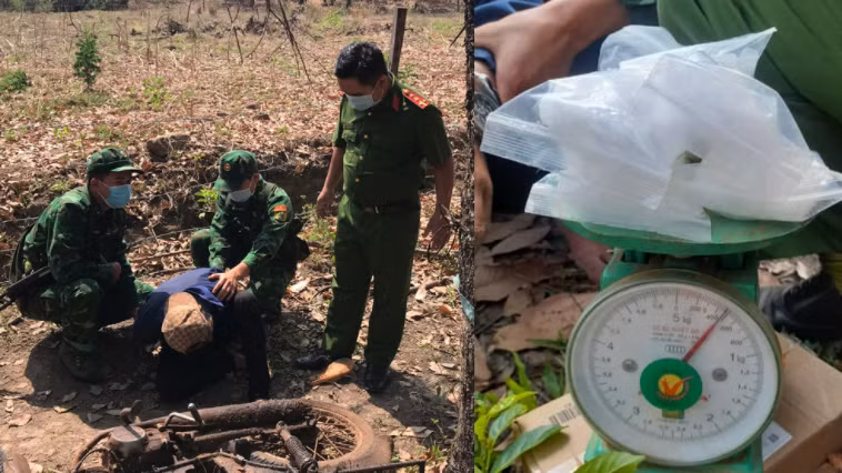 Giả công nhân khai thác mủ cao su để vận chuyển ma túy -0
