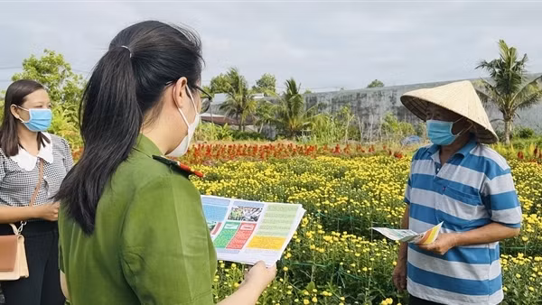 Xuân yên bình trên vùng quê nông thôn mới ảnh 2