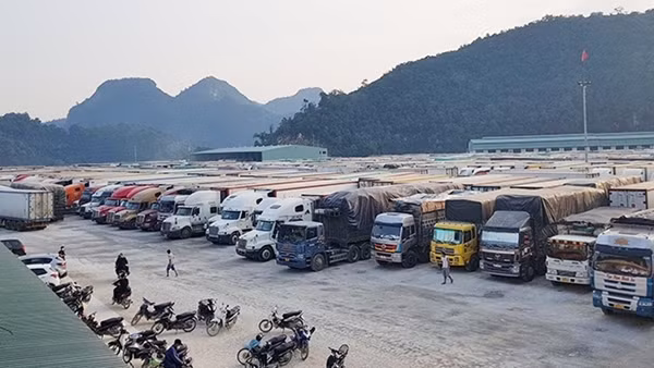 Hàng hoá ùn ứ tại cửa khẩu được giải tỏa ảnh 3
