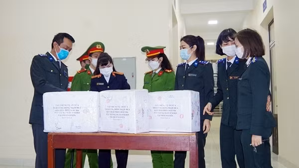 Tiêu huỷ hơn 100 khẩu súng tự chế ảnh 3