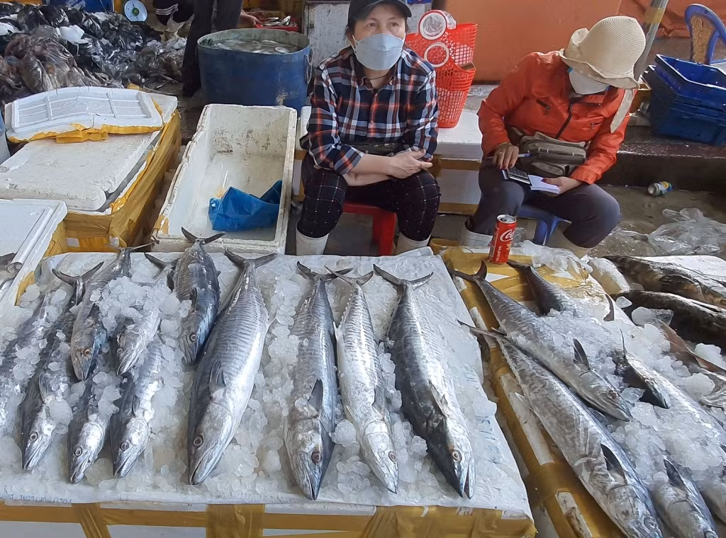 Ngư trường Đà Nẵng “đưa lộc biển về mọi nhà” những ngày giáp Tết -0