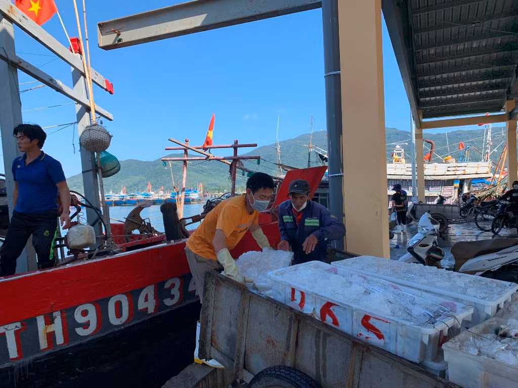 Ngư trường Đà Nẵng “đưa lộc biển về mọi nhà” những ngày giáp Tết -4