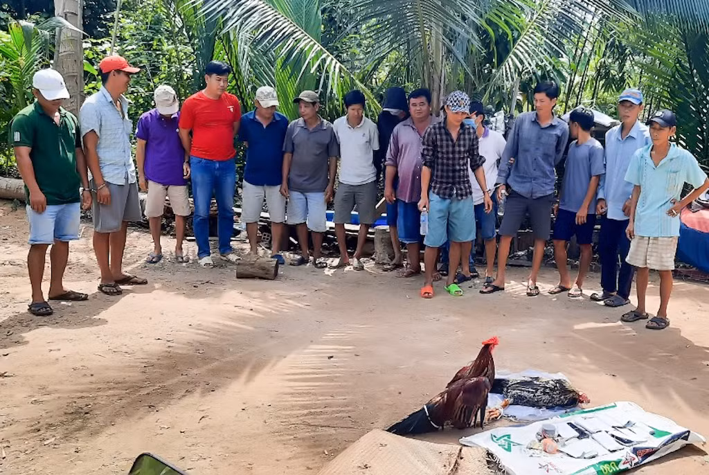 Bắt quả tang 17 đối tượng tham gia đá gà ăn thua bằng tiền -0