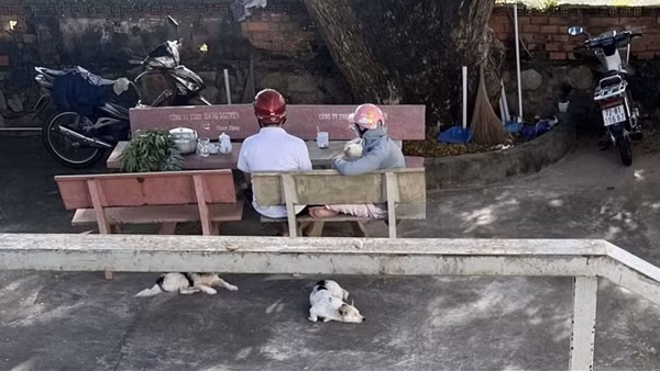 CSGT kịp thời ngăn người phụ nữ nhảy cầu tự tử