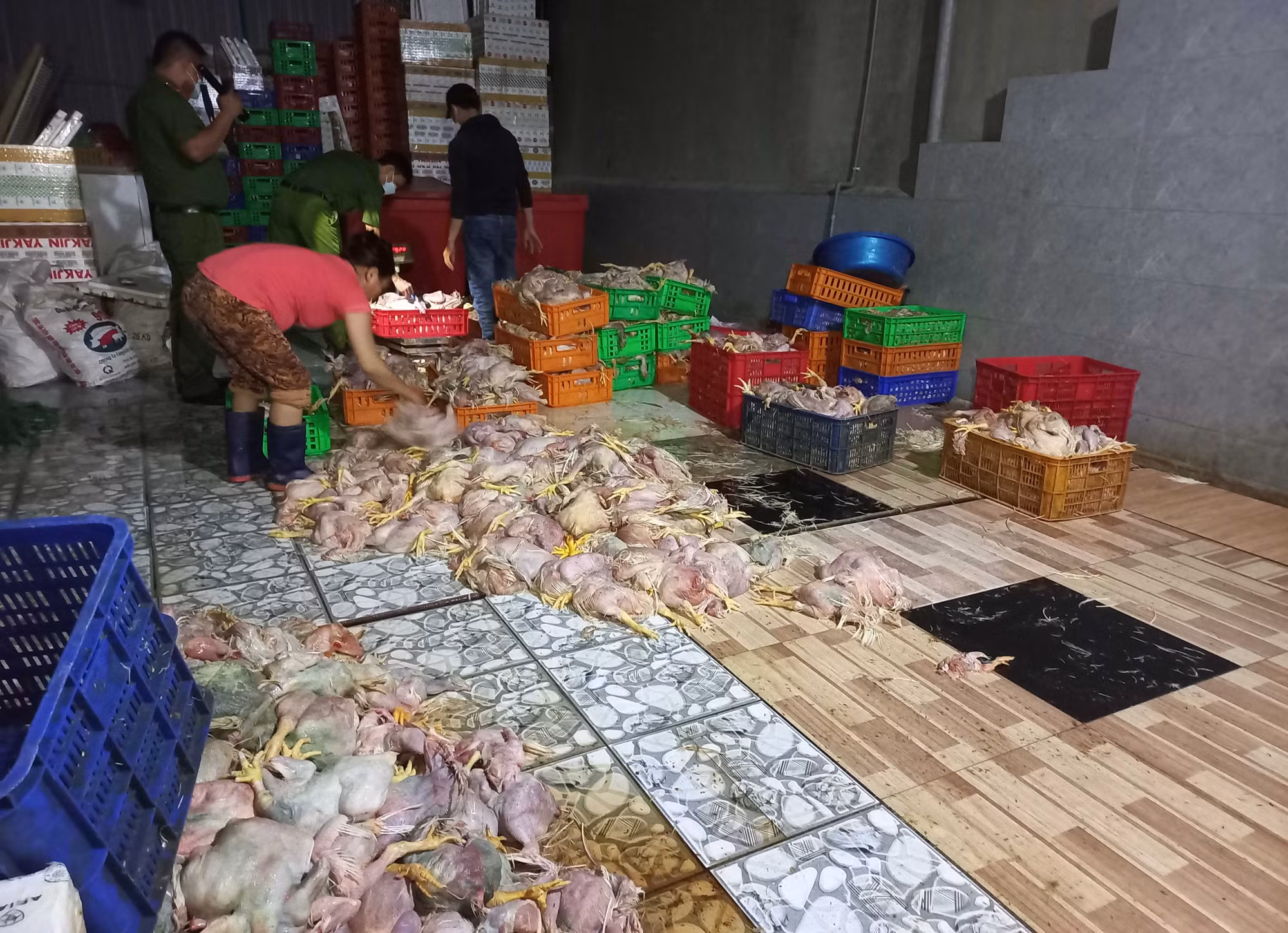 Phát hiện cơ sở sơ chế hơn 2,2 tấn gà thối đem bán -0