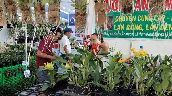 Giải pháp phát triển nông nghiệp TP Hồ Chí Minh