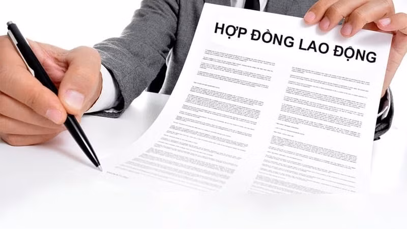 hop-dong-lao-dong.jpg -0