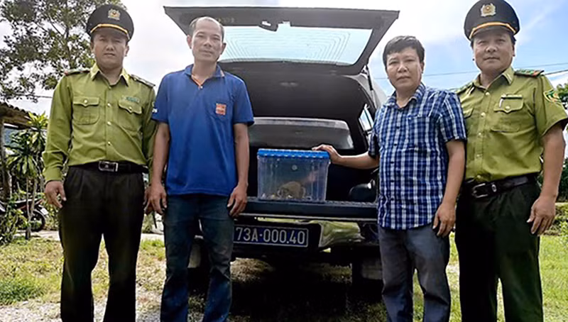 Phong Nha-Kẻ Bàng tiếp nhận 4 cá thể động vật hoang dã nguy cấp, quý hiếm -0