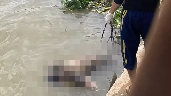 Phát hiện thi thể đang phân hủy trôi trên sông Hậu