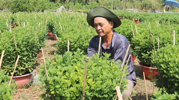 Làng nghề tất bật vụ Tết