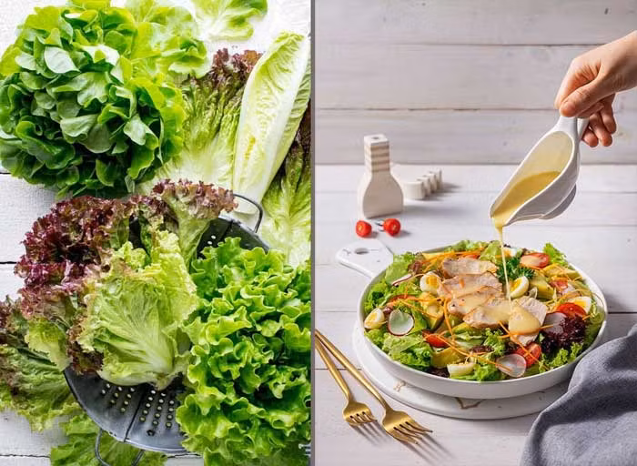 Top 10 loại rau tốt nhất thế giới gọi tên “xà lách” -0