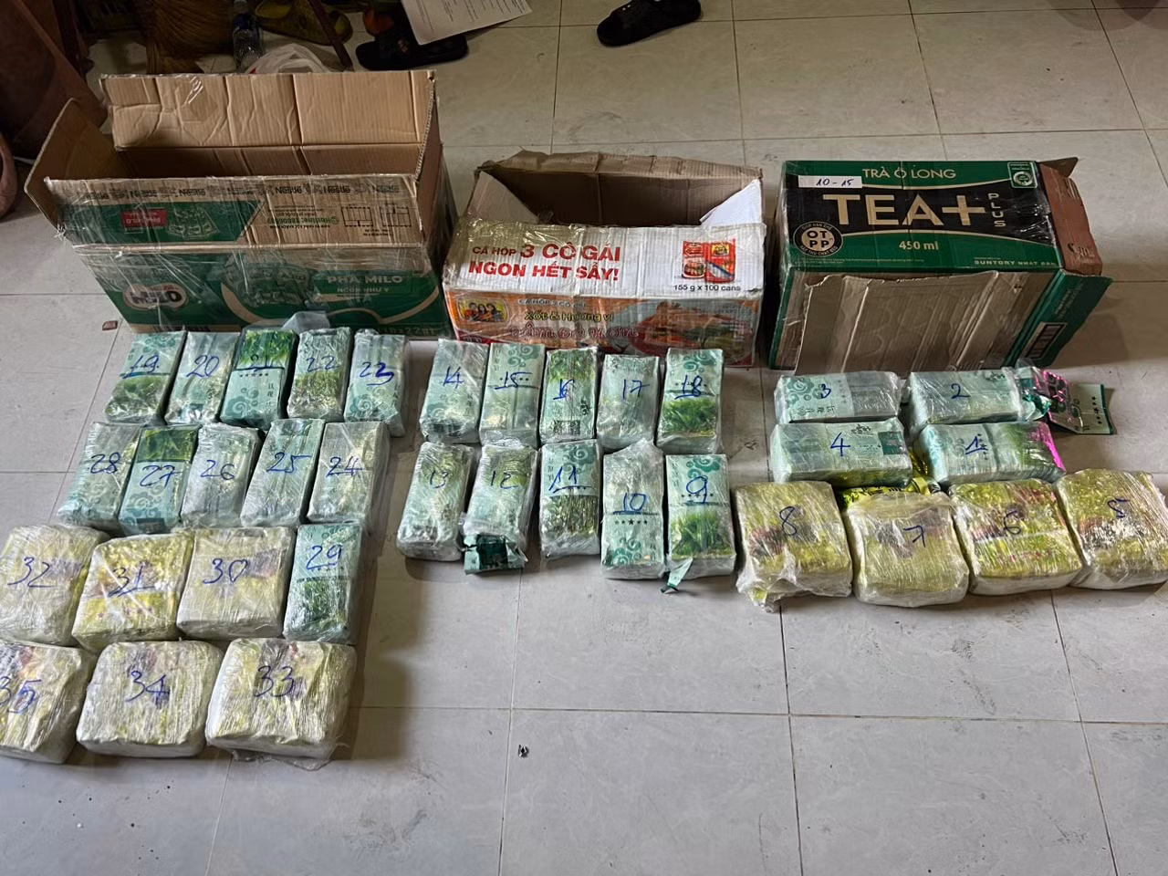 Công an TP Hồ Chí Minh triệt phá đường dây mua bán, vận chuyển ma túy xuyên quốc gia -1