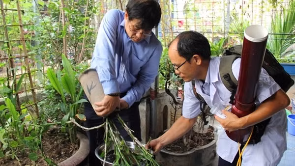 Hà Nội đã kiểm soát được dịch sốt xuất huyết