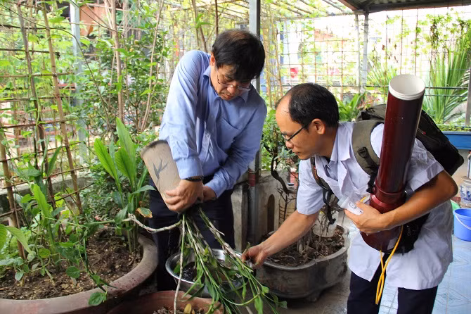 Hà Nội đã kiểm soát được dịch sốt xuất huyết -0