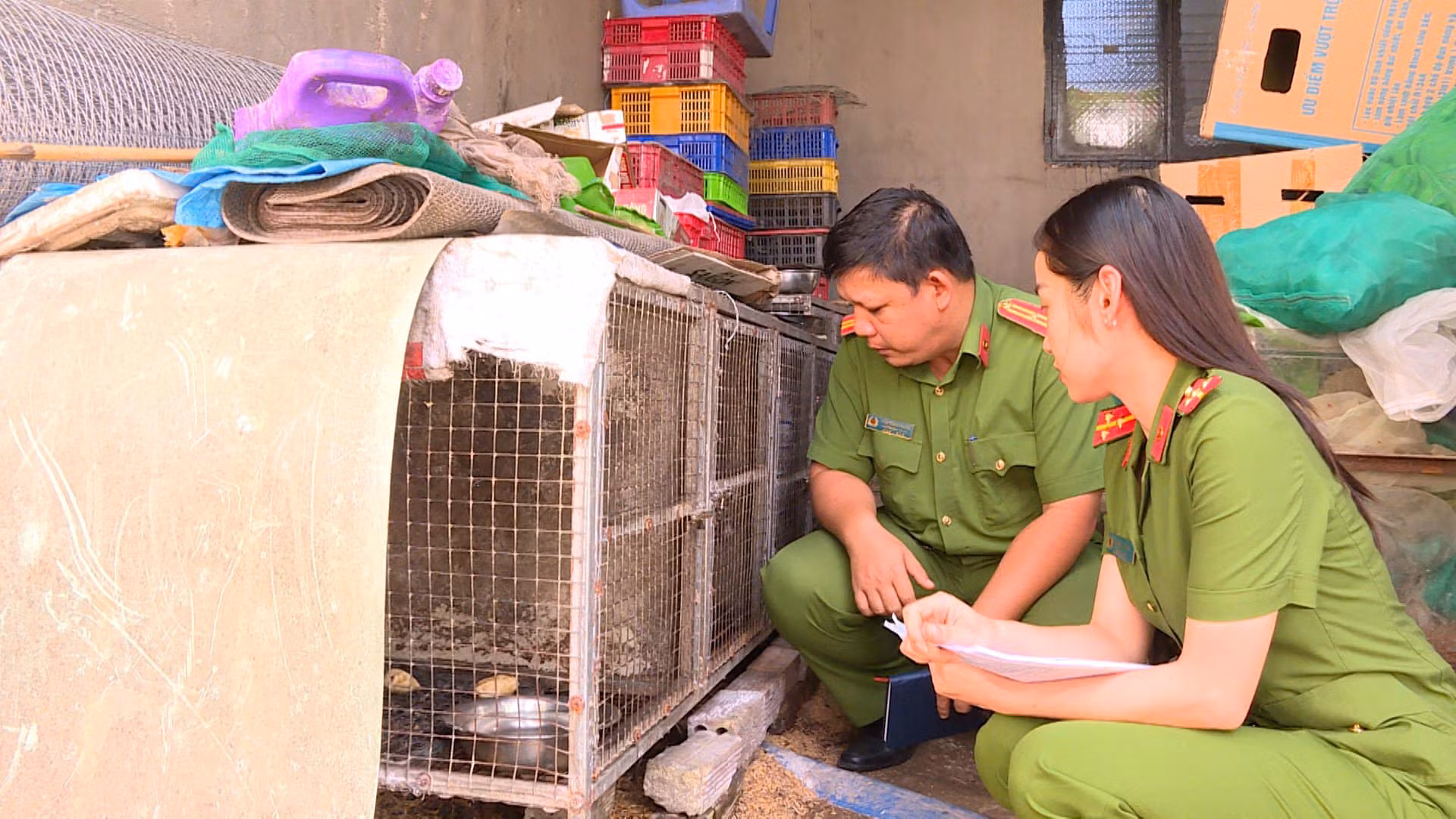 Phát hiện hộ dân nuôi nhốt nhiều cá thể động vật hoang dã, quý hiếm -0
