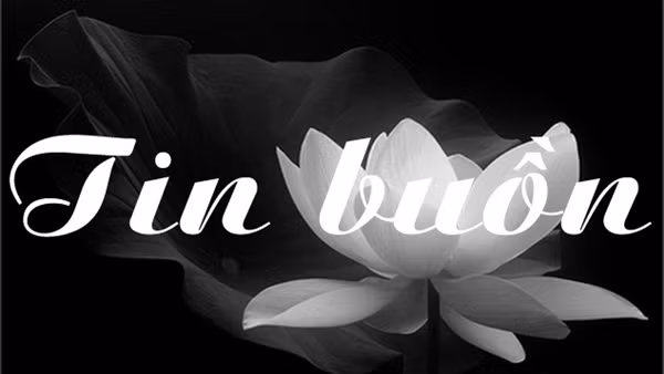 Tin buồn: Thiếu tá Trần Tuấn Anh từ trần