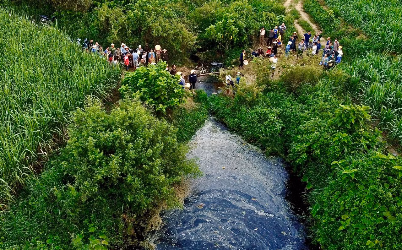 Phía sau những trang trại chăn nuôi lợn công nghệ cao ở Thanh Hoá -0