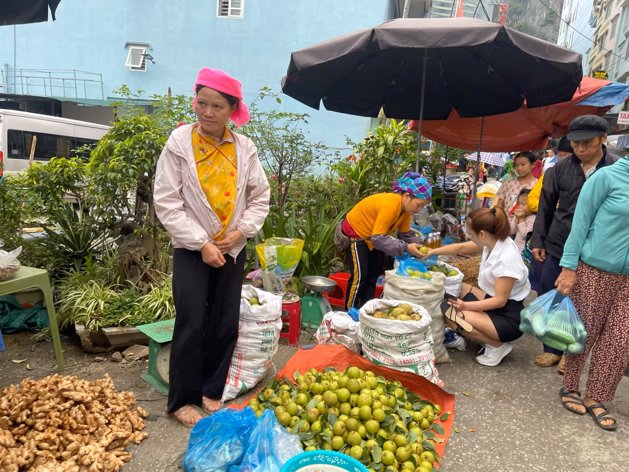 Cả nước còn hàng nghìn chợ hạng 3, cơ sở vật chất còn nhiều hạn chế -0