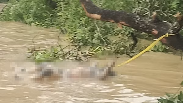 Truy tìm tung tích thi thể trôi trên sông Hậu
