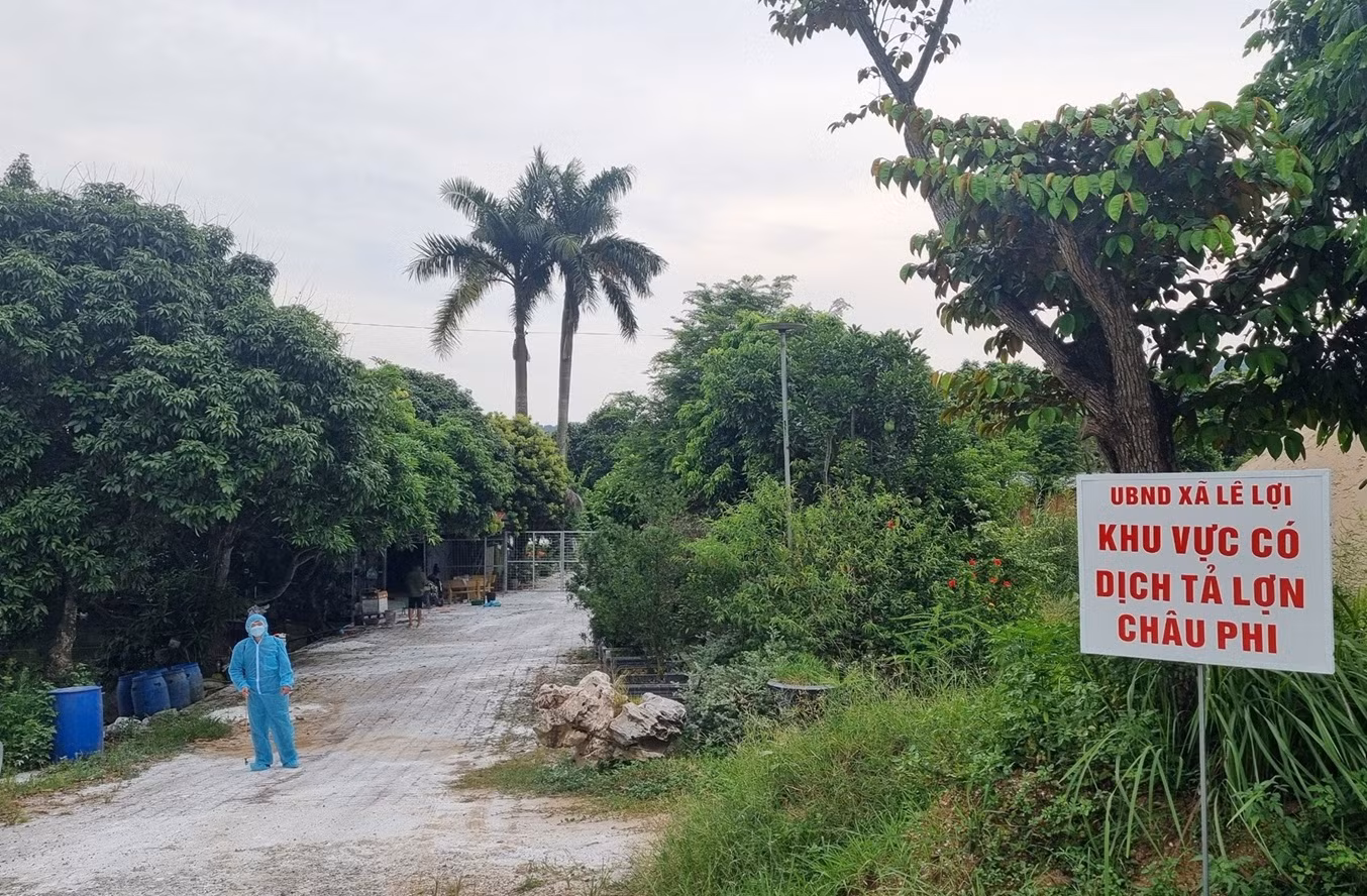 Thêm 4 xã phát hiện dịch tả lợn châu Phi ở Hải Phòng -0