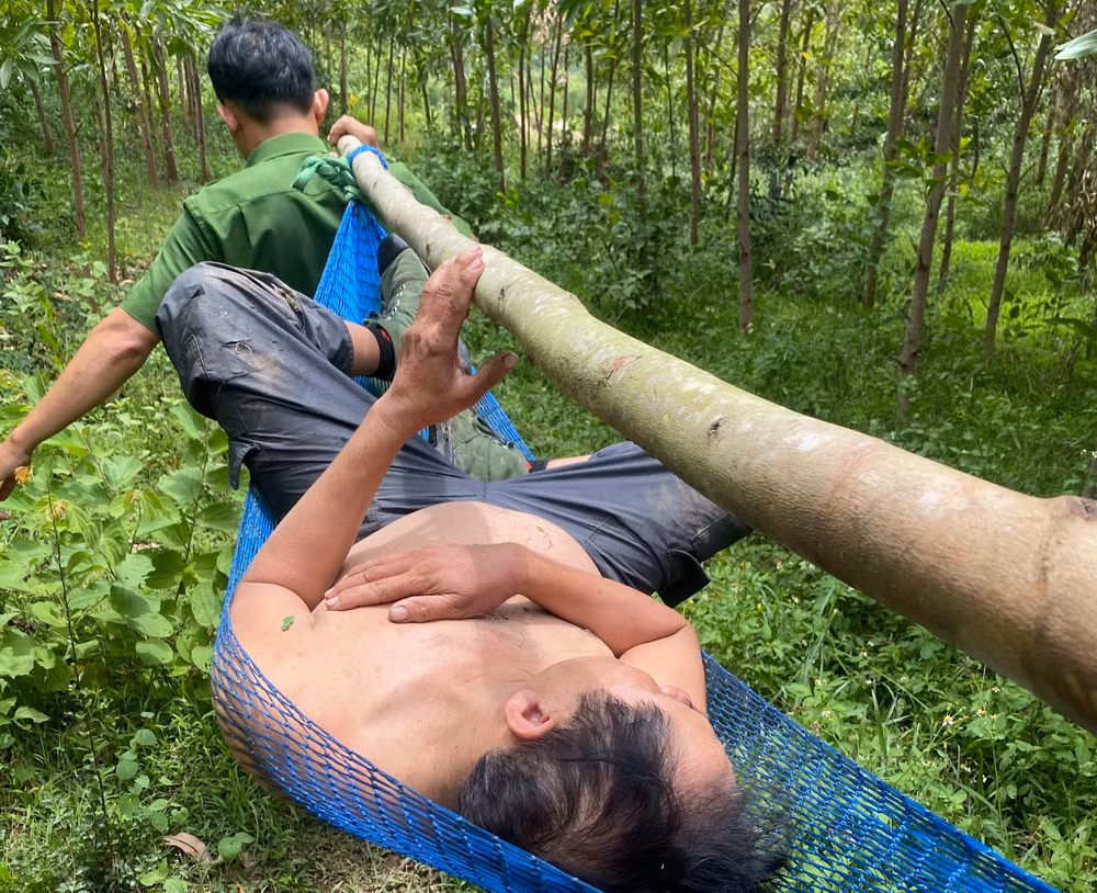 Công an xã vào núi cứu nạn nhóm nông dân bị ong đốt hàng trăm vết -0