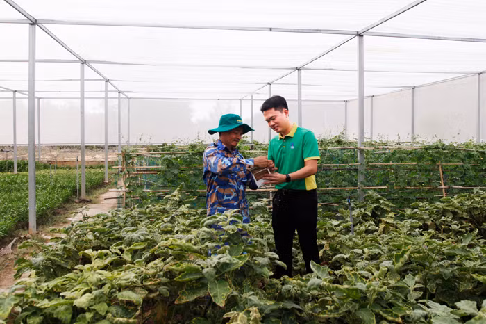 PVFCCo với nhiều hoạt động thiết thực, ý nghĩa kỷ niệm Ngày Thương binh - Liệt sĩ -0