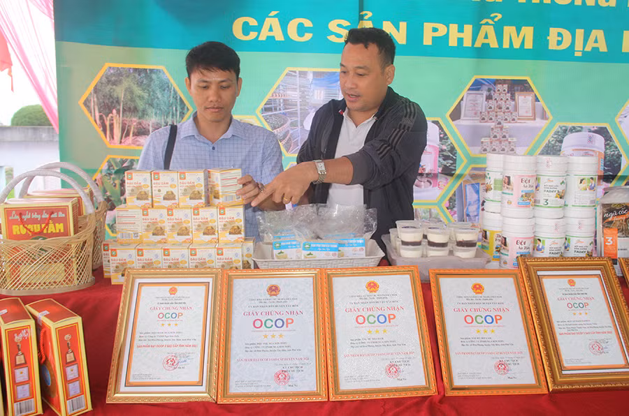 Sức sống mới trên quê hương Hòa Phong anh hùng -0