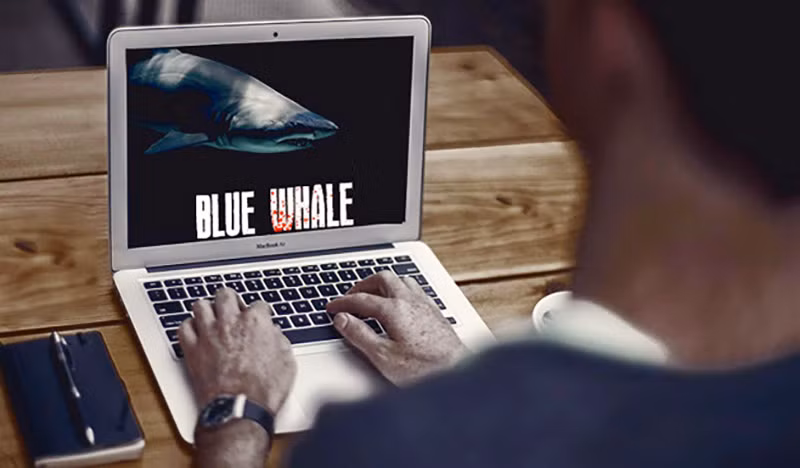 t1.jpg -0