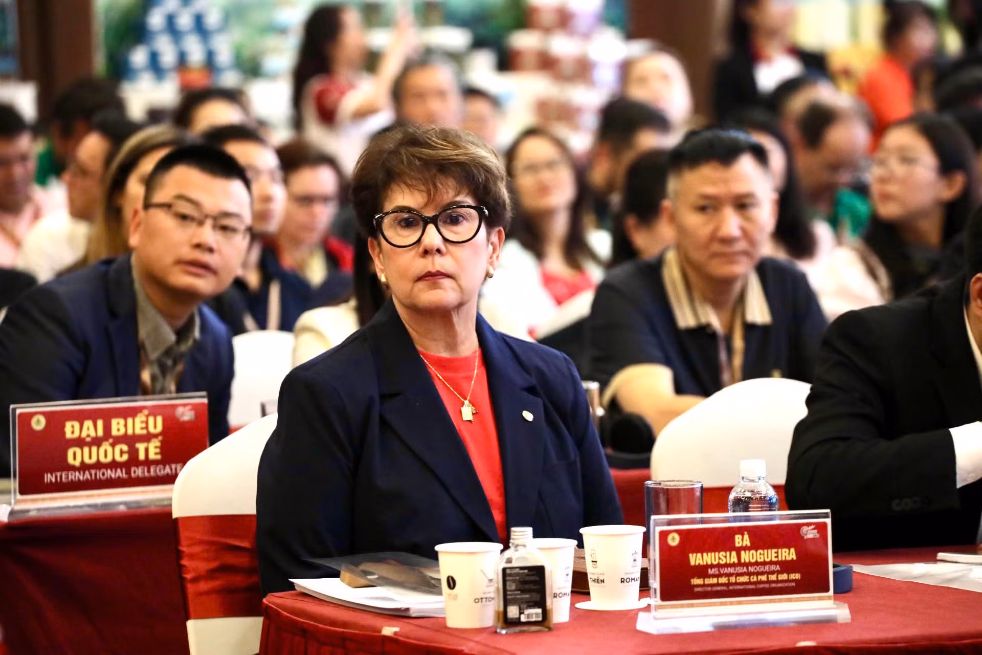Cà phê Việt Nam trước thách thức quy định phòng chống phá rừng của EU -0