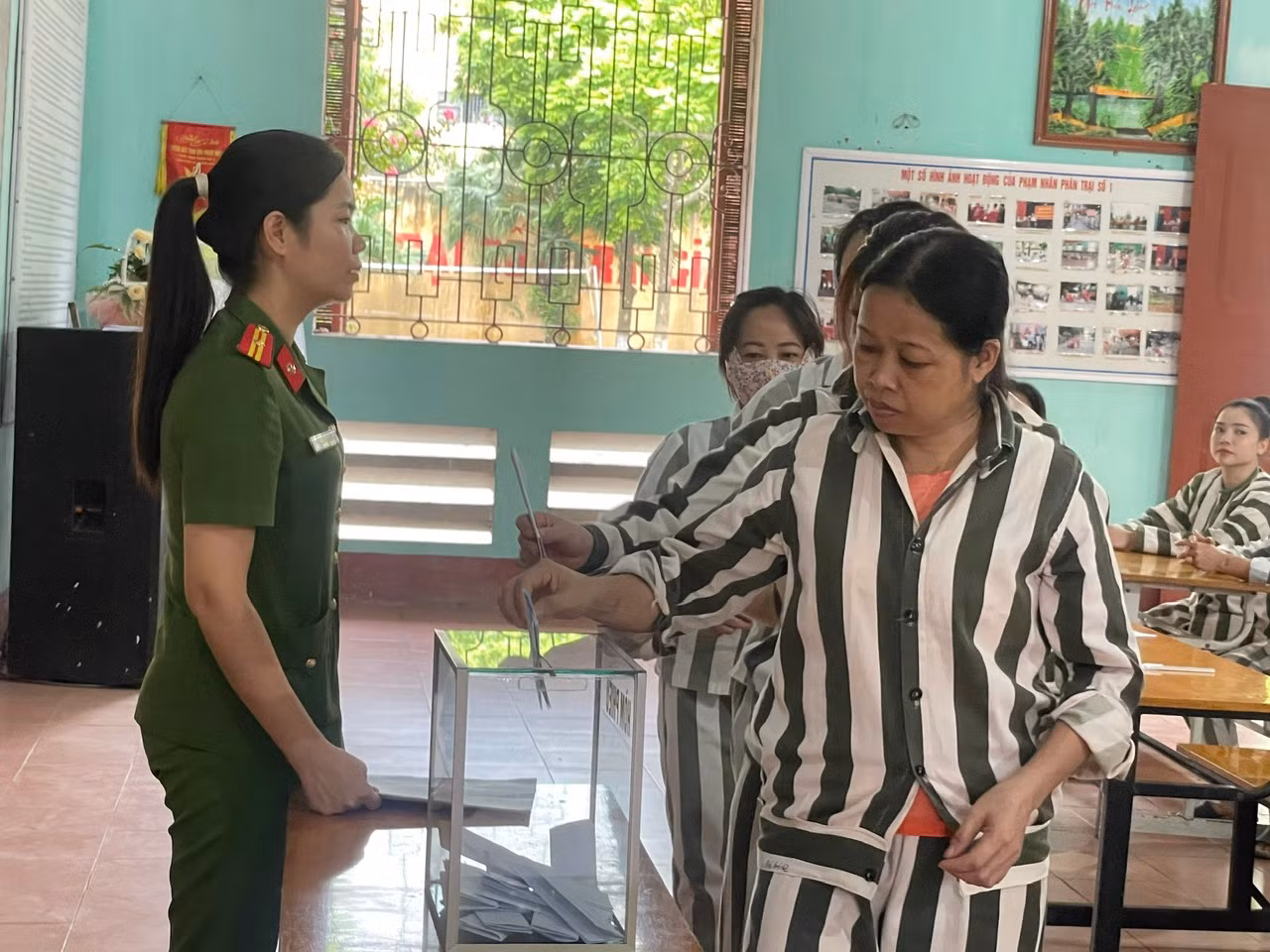 bỏ phiếu nl.jpg -0