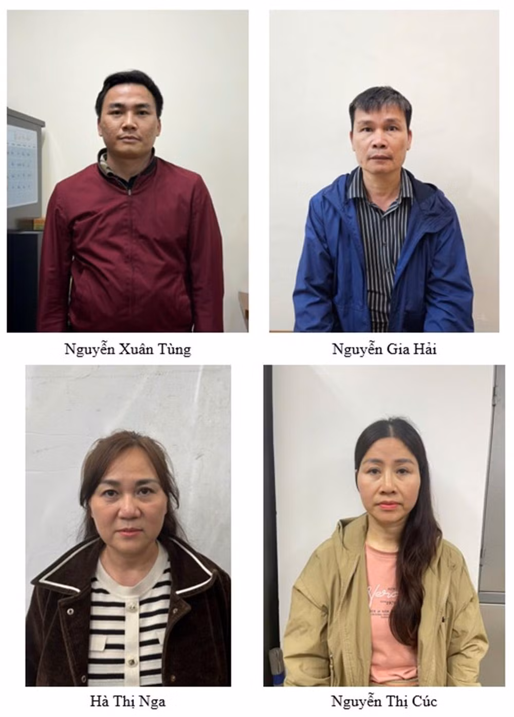 Khởi tố vụ án xảy ra tại Công ty Cổ phần Khoáng sản Thiên An Phát và các đơn vị liên quan -0