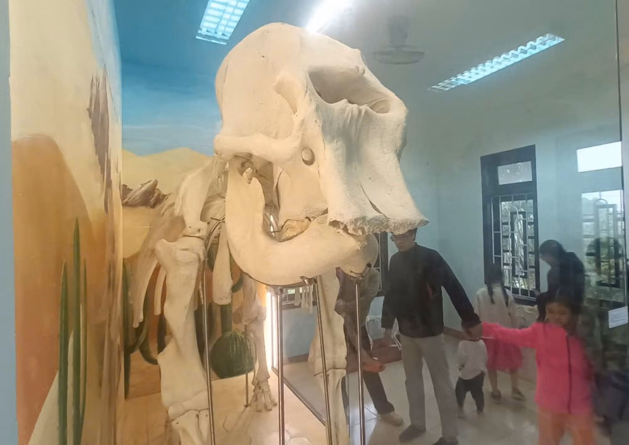 Hổ đông dương, Sao La quý hiếm trưng bày tại Huế thu hút hàng nghìn người tham quan -0