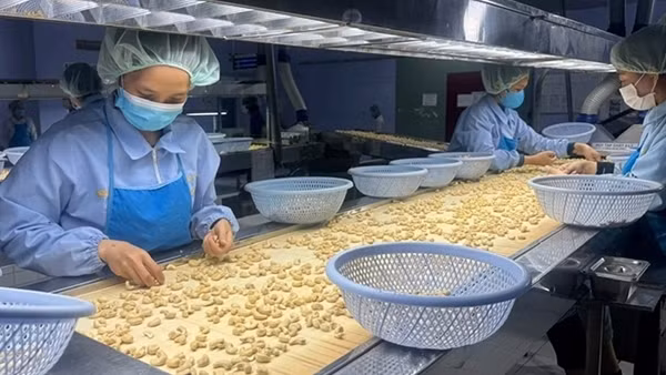 Ngành nông sản tìm cơ hội ở các thị trường mới
