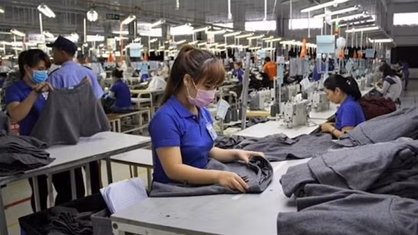 Liên kết doanh nghiệp để tiếp cận vốn tín dụng