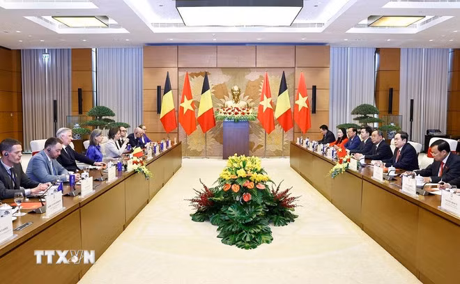 Nhà Vua Bỉ ấn tượng về thành tựu phát triển kinh tế-xã hội của Việt Nam -0