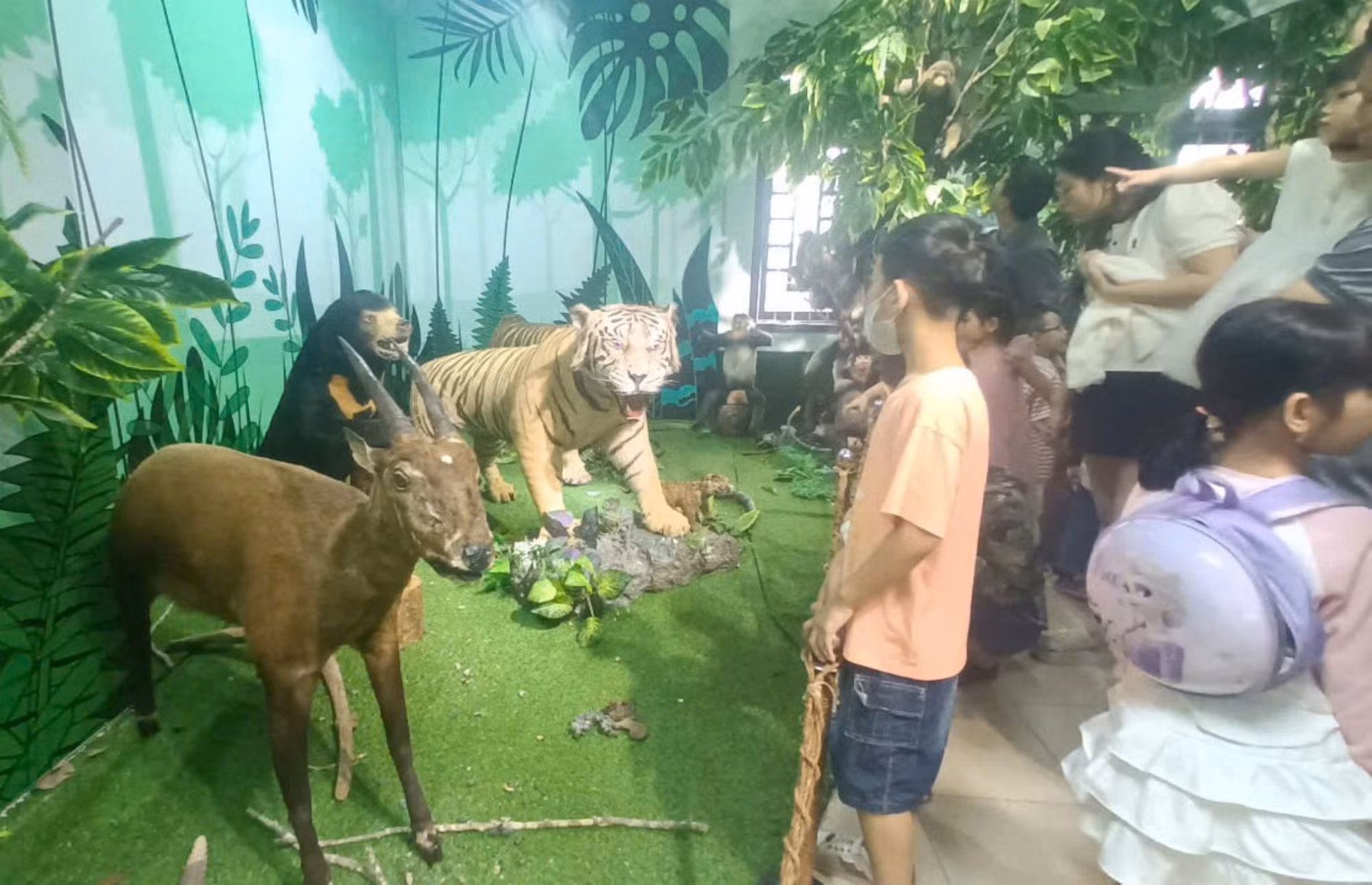 Hổ đông dương, Sao La quý hiếm trưng bày tại Huế thu hút hàng nghìn người tham quan -0