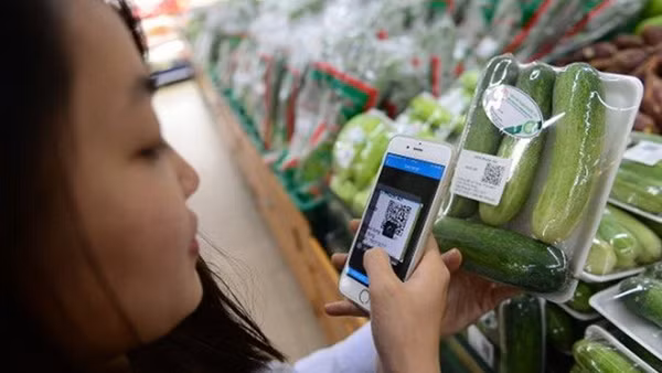 Quét mã QR truy xuất nguồn gốc sản phẩm để bảo vệ người tiêu dùng