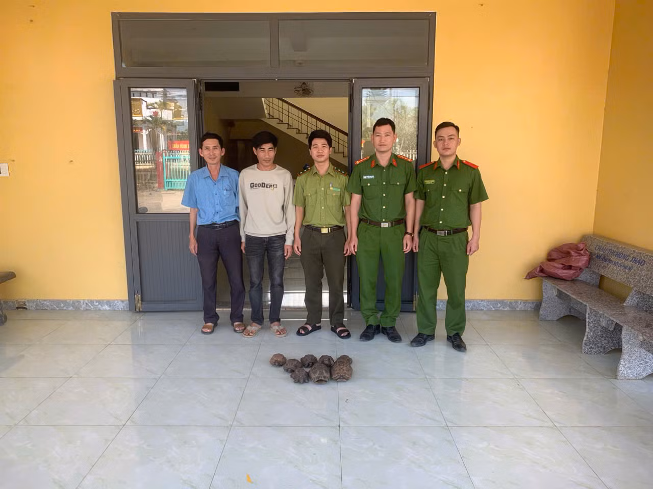  Người dân giao nộp 8 cá thể rùa quý hiếm sau khi nhặt được trên đường -0