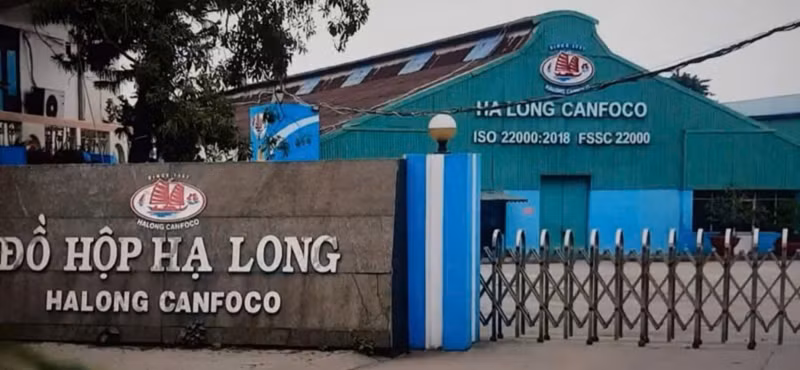 Đường dây thu gom, vận chuyển lợn bệnh cho thấy tồn tại lỗ hổng quản lý -0