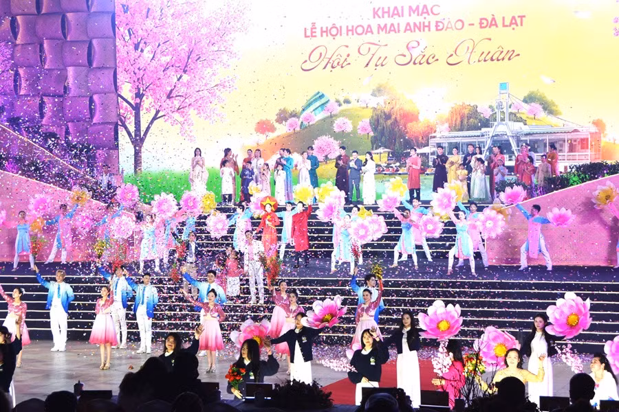 Đà Lạt tưng bừng bước vào hội mai anh đào -0