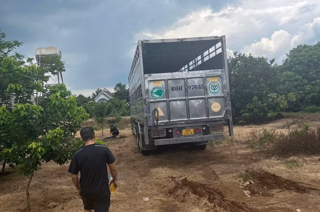 Người mua xe ô tô cũ cảnh giác giấy tờ giả -0