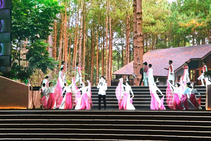 Đà Lạt tưng bừng bước vào hội mai anh đào -0