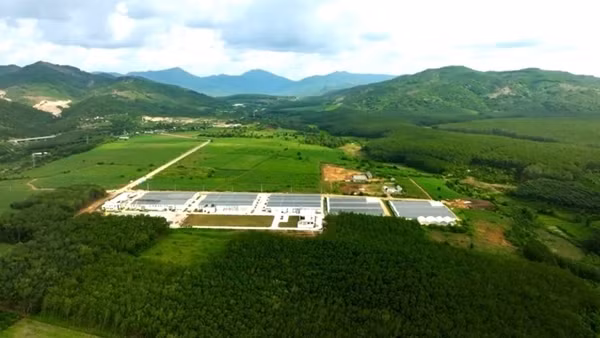 Sao Mai Agro: Nâng cao giá trị nông sản, hướng tới thị trường quốc tế
