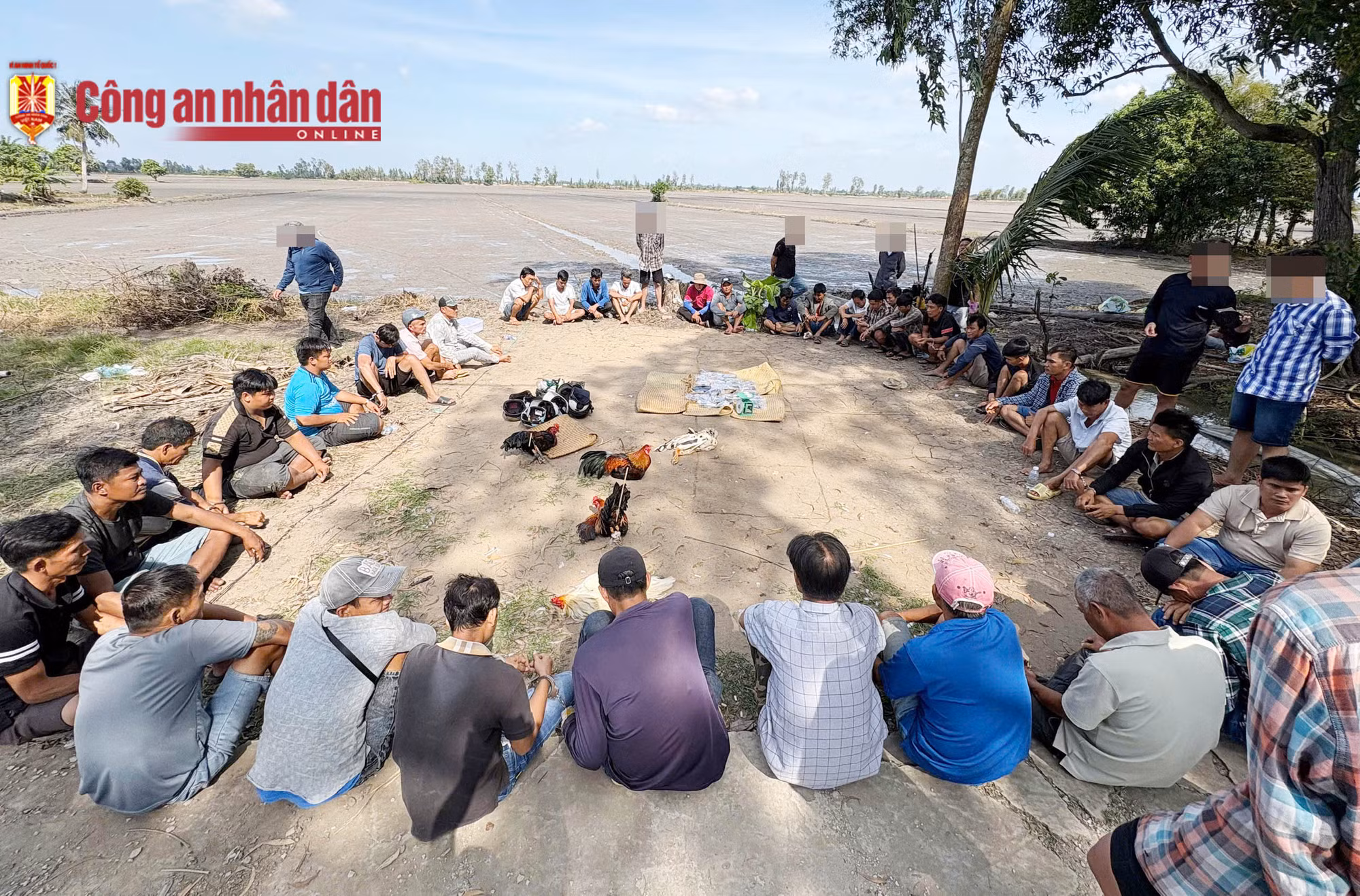 Triệt phá trường gà, tạm giữ 23 đối tượng -0