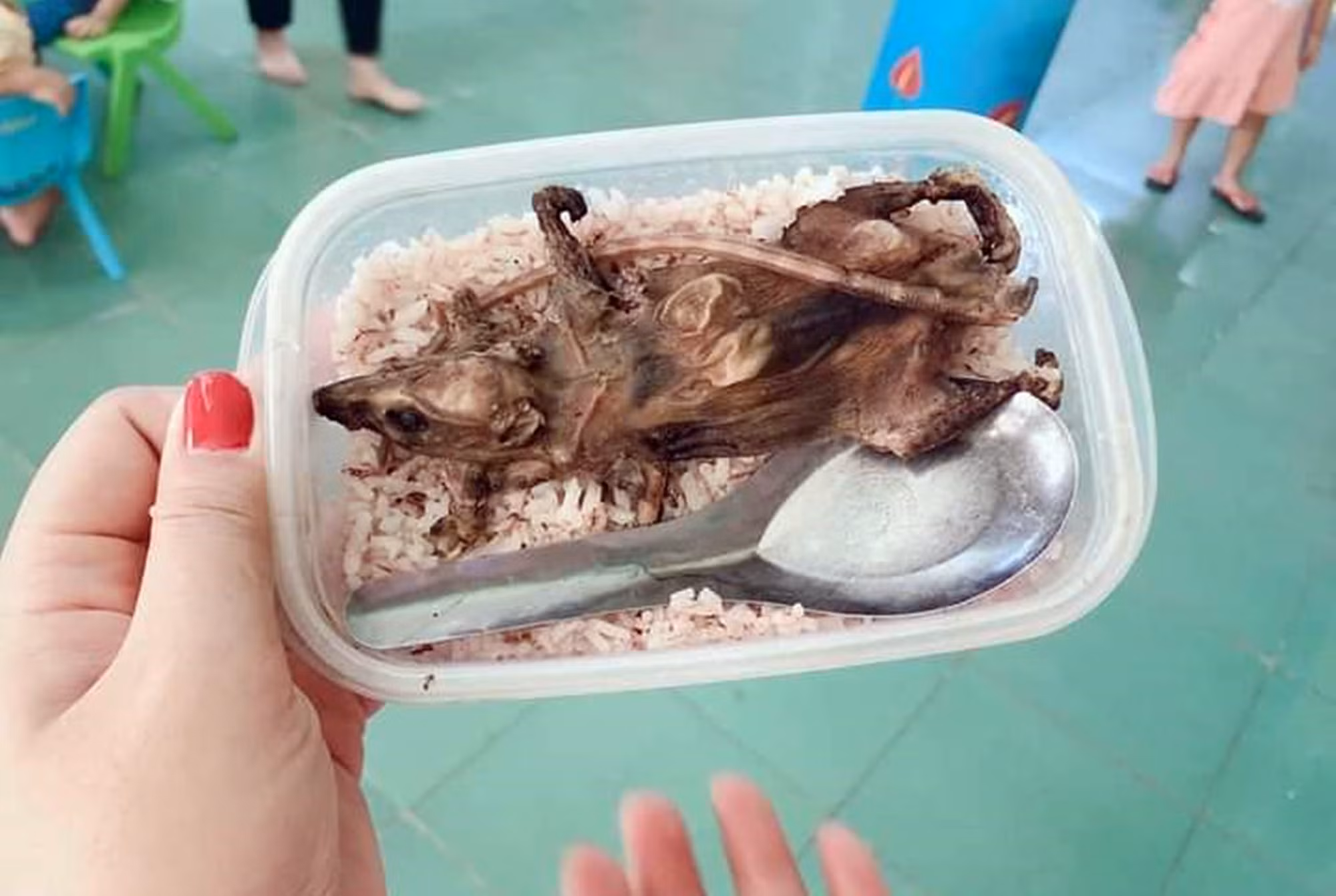 Sự thật bức ảnh trong bài “hộp cơm vỏn vẹn con chuột núi” lan truyền trên mạng xã hội -0