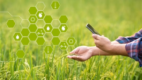 Điện toán đám mây - cơ hội phát triển của nông nghiệp số