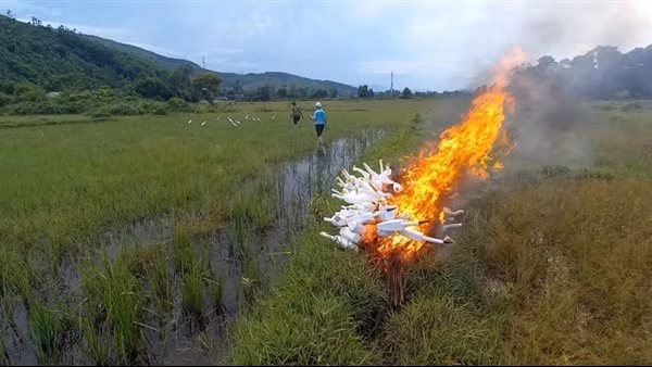 Công an xã đồng loạt ra quân ngăn chặn nạn săn bắt chim trời