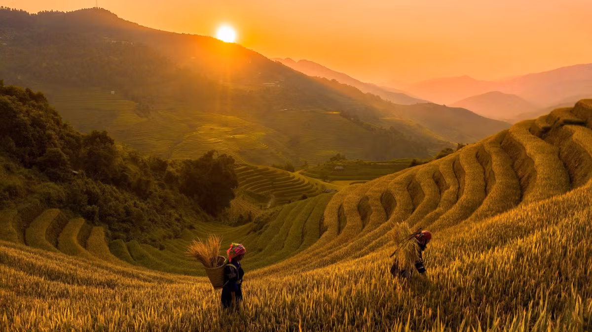 Miền Bắc nắng vàng, chiều tối nhiều nơi cả nước mưa to -0