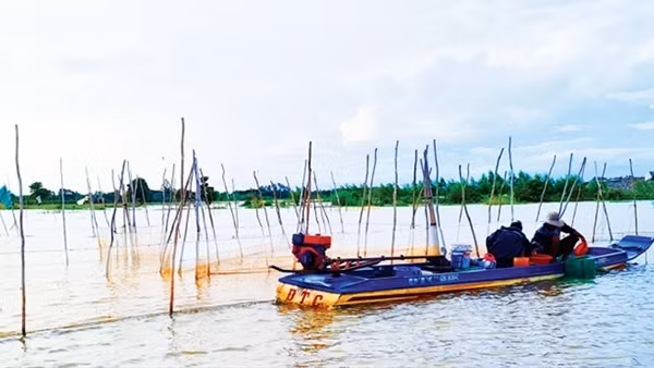 Vui buồn mùa nước nổi ở miền Tây Nam Bộ